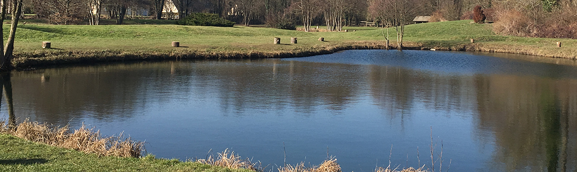 étang pêche truite les biches 1