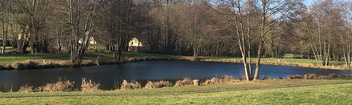 étang pêche truite trois chênes 1